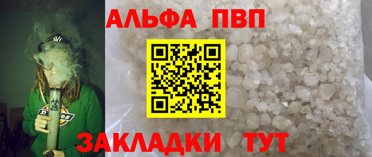 Альфа ПВП СК Ярославль