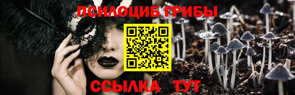 Псилоцибиновые грибы Psilocybe Ярославль